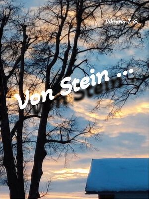 cover image of Von Stein